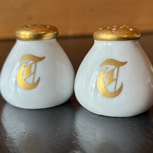 Antique Nippon Ware NPMC Gold Gilded Salt and Pepper Shakers in Excellent Cond
